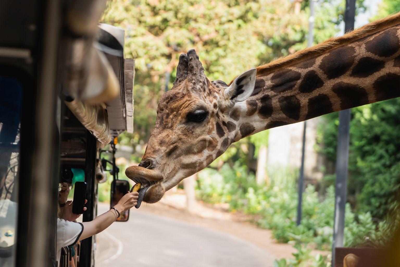 Day 2: Full-Day Nairobi Excursion 1