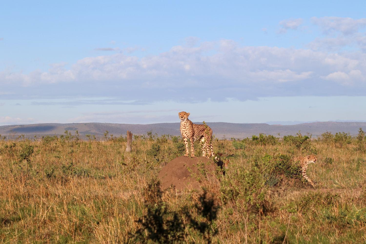 Day 2: Full-Day Nairobi Excursion 3