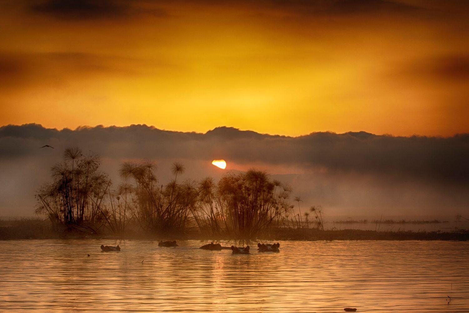 Day 7: Transfer to Lake Naivasha Sopa Resort 1