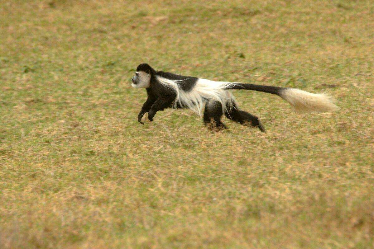 Day 7: Transfer to Lake Naivasha Sopa Resort 2