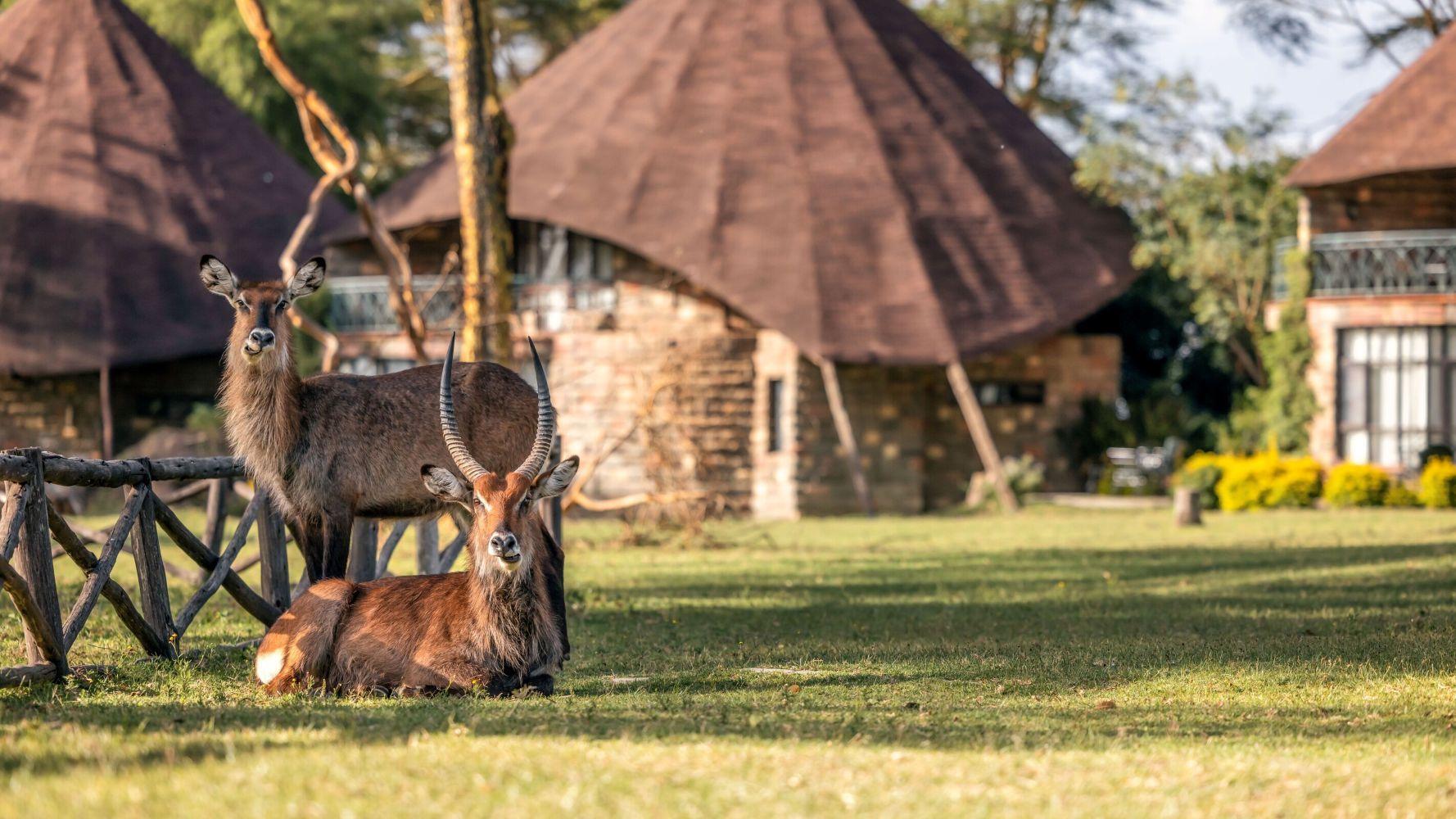 Day 8: Lake Nakuru National Park 2