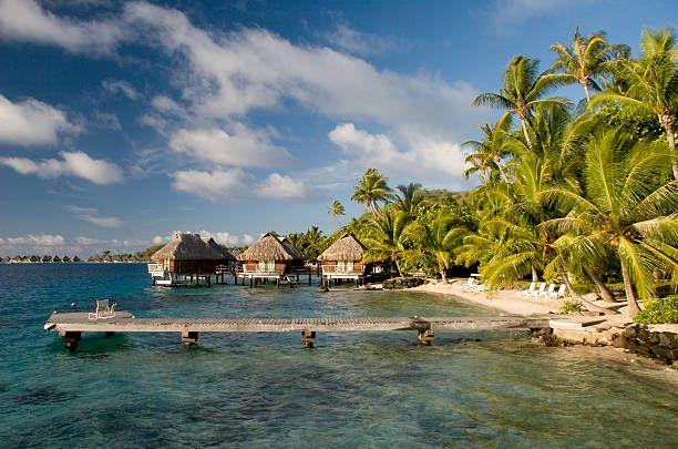 Lagoon & Marine Life